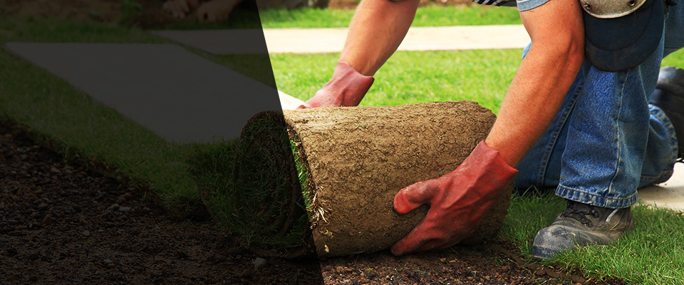 Schnecksville Landscapers